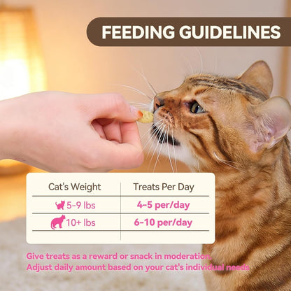 Catnip Cat Treats, Chicken & Salmon Flavor, Crunchy Bites, 16 Oz | Catnip-Infused Fish-Shaped Biscuits with Chicken and Salmon Flavors, Made for Training, Rewarding, and Everyday Bonding8