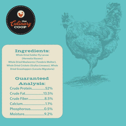 Fluker'S Culinary Coop Premium Chicken Treats, Dried Insect Trail Mix, 20 Oz2