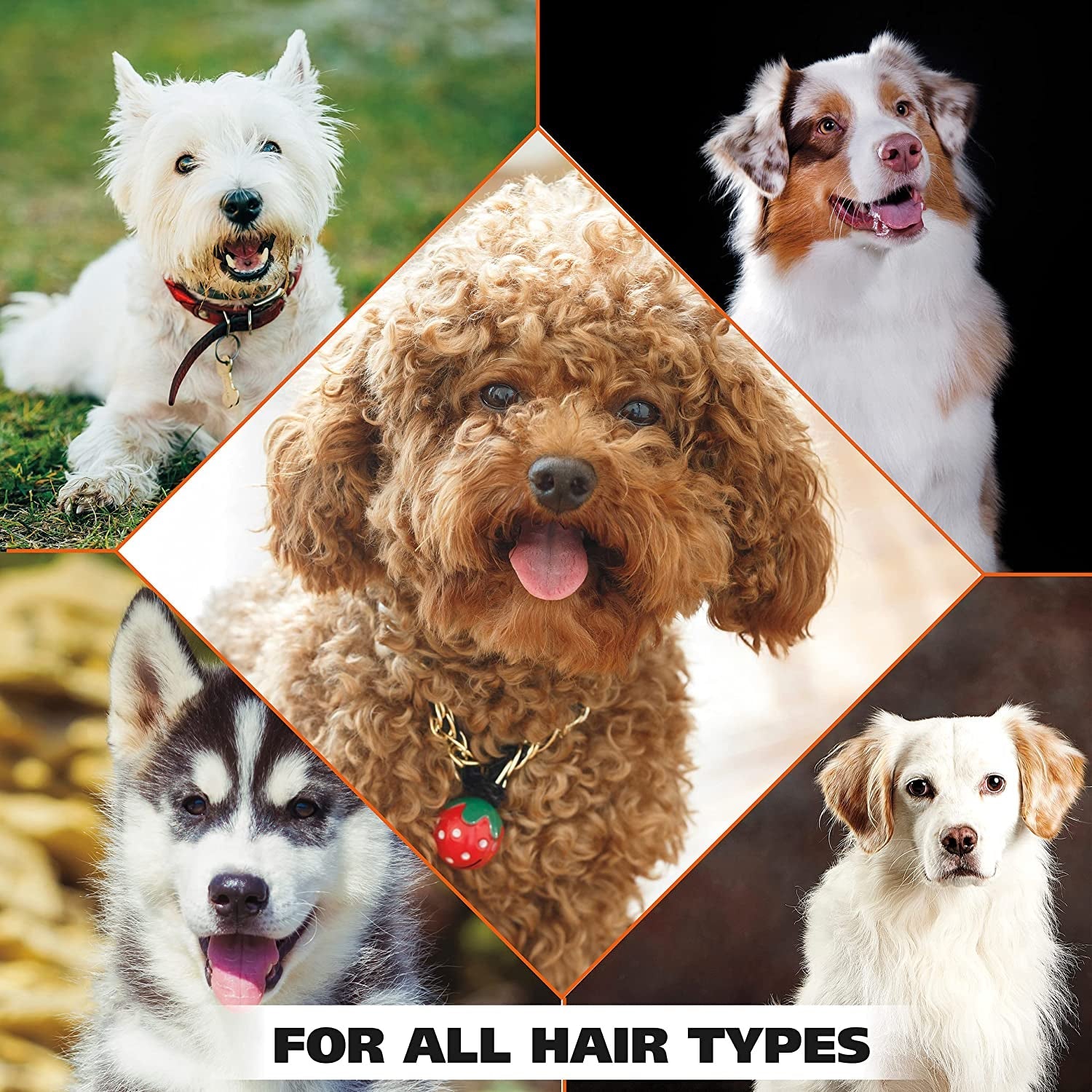 wahl-usa-odor-control-shampoo-for-dogs-pets-eucalyptus-spearmint-animal-deodorizer-for-cleaning-freshening-24-oz-model-820003a