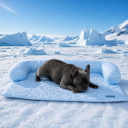 Spark Paws Cooling Couch Cover Dog Bed, Furniture Protector Mat, Non-Toxic Washable Pet Cooling Pad for Large & Small Dog - Hearts Blue - Size M1