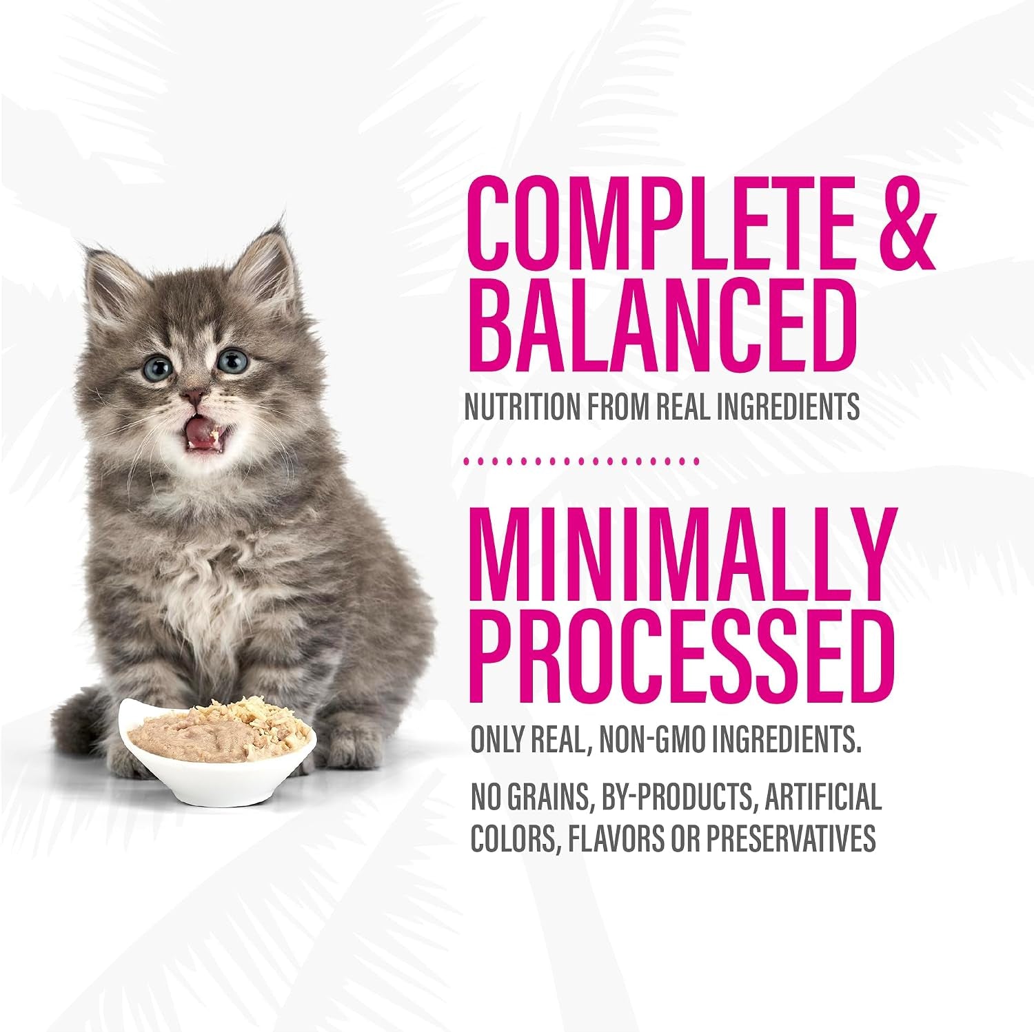 tiki-cat-baby-pate-wet-cat-food-for-kittens-variety-pack-2-4-oz-cans-12-count
