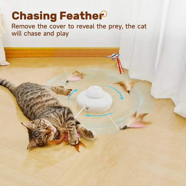 Potaroma Cat Toys Chargeable, 3In1 Hide and Seek, Interactive Fun | Automatic Fluttering Butterfly, Moving Feather, Kitten Wand, Indoor Kitty Exercise Kicker 22.8 Inch Cover for All Breeds5