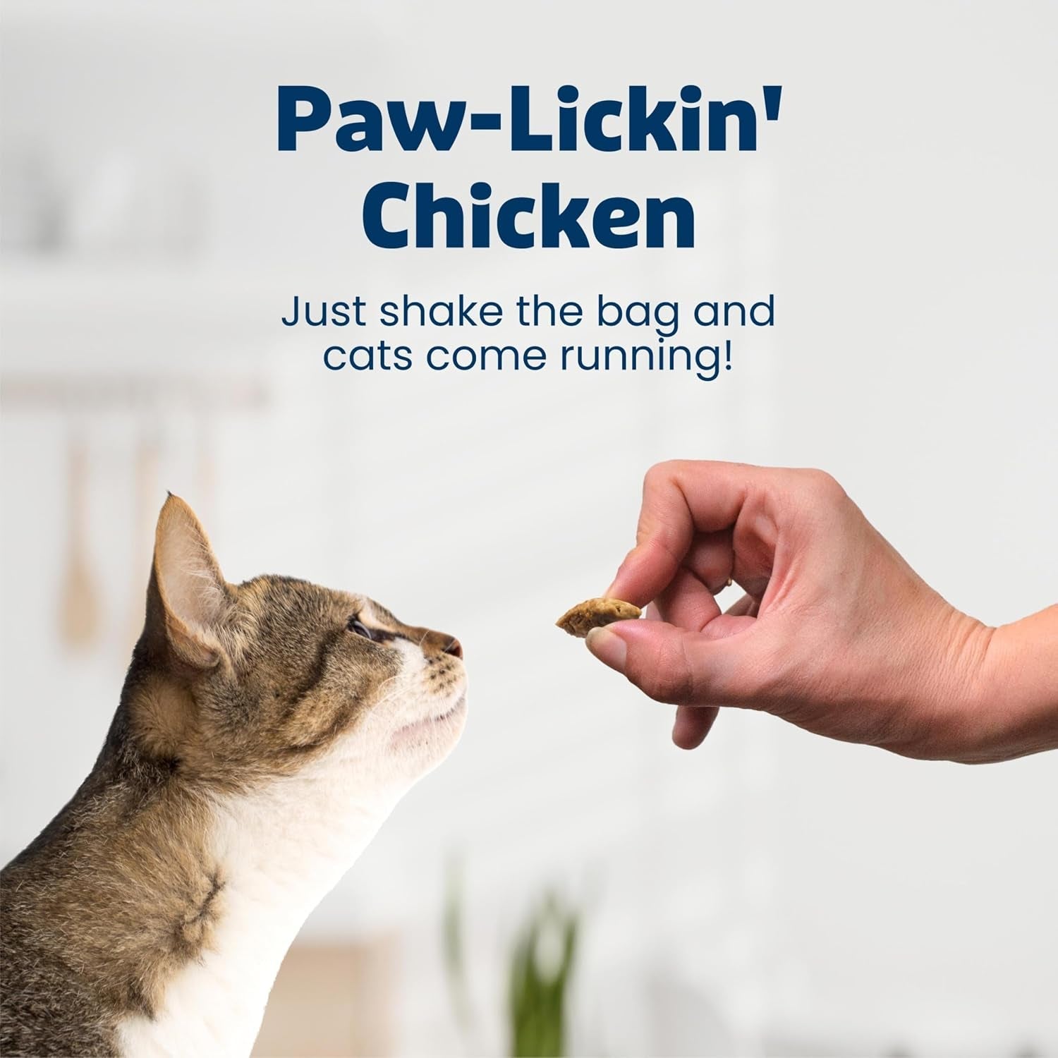 blue-buffalo-bursts-paw-lickin-chicken-crunchy-creamy-cat-treats-great-for-training-made-with-real-chicken-natural-cat-treats-enhanced-with-vitamins-minerals-other-nutrients-5-oz
