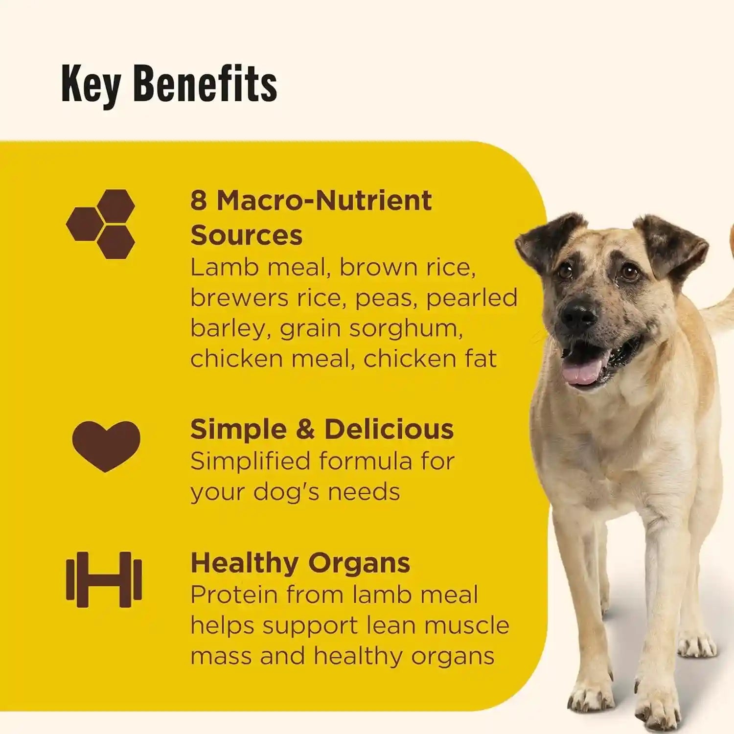 nutrish-limited-ingredient-dry-dog-food-28-lb-bag-rachael-ray