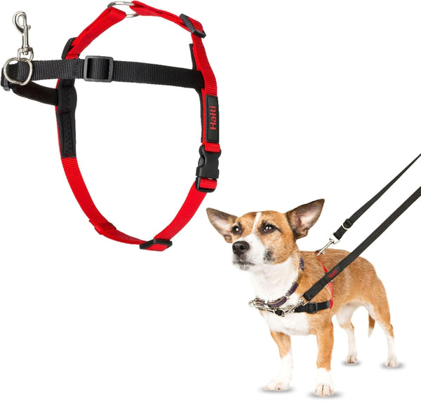 Halti Front Control Harness - Stop Your Dog Pulling on the Leash. Adjustable, Lightweight and Easy to Use. Anti-Pull Dog Training Harness for Medium Dogs (Size M) | Dog Harness to Stop Pulling on the Leash | Anti-Pull Training Aid | Front Leading No Pull Harness for Medium Dogs8
