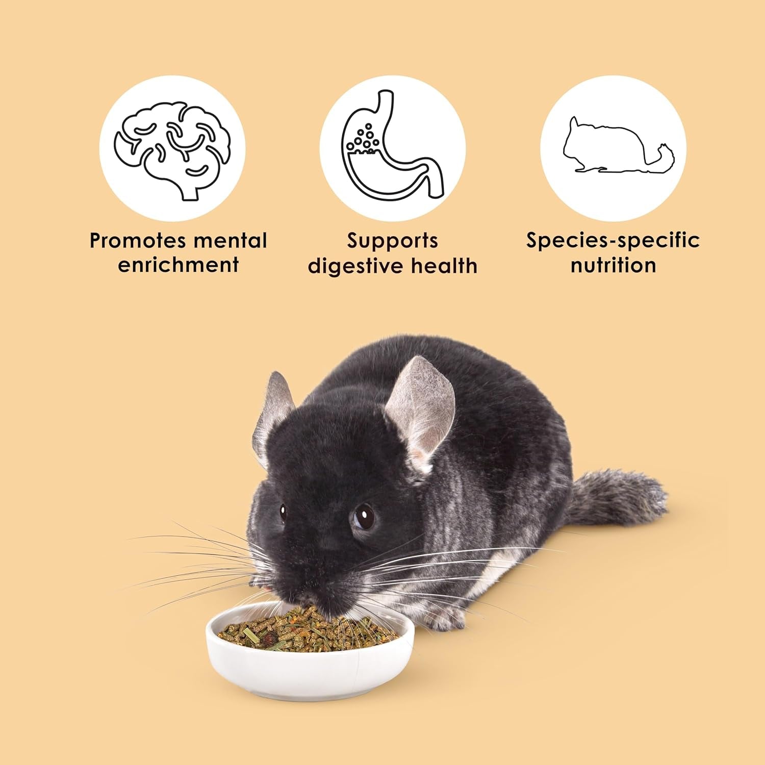 kaytee-food-from-the-wild-chinchilla-3-pounds