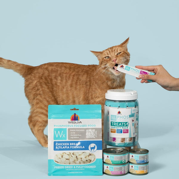 Weruva Wx Phos Focused, Lickable Cat Treats Variety Pack, 0.5Oz Tube, Pack of 249