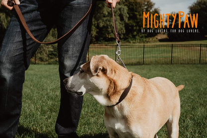 Mighty Paw Martingale Dog Collar - No Pull Design - Stainless Steel Chain - Limited Chain Cinch Training - Brown Leather Martingale Training Collar - Medium Size6