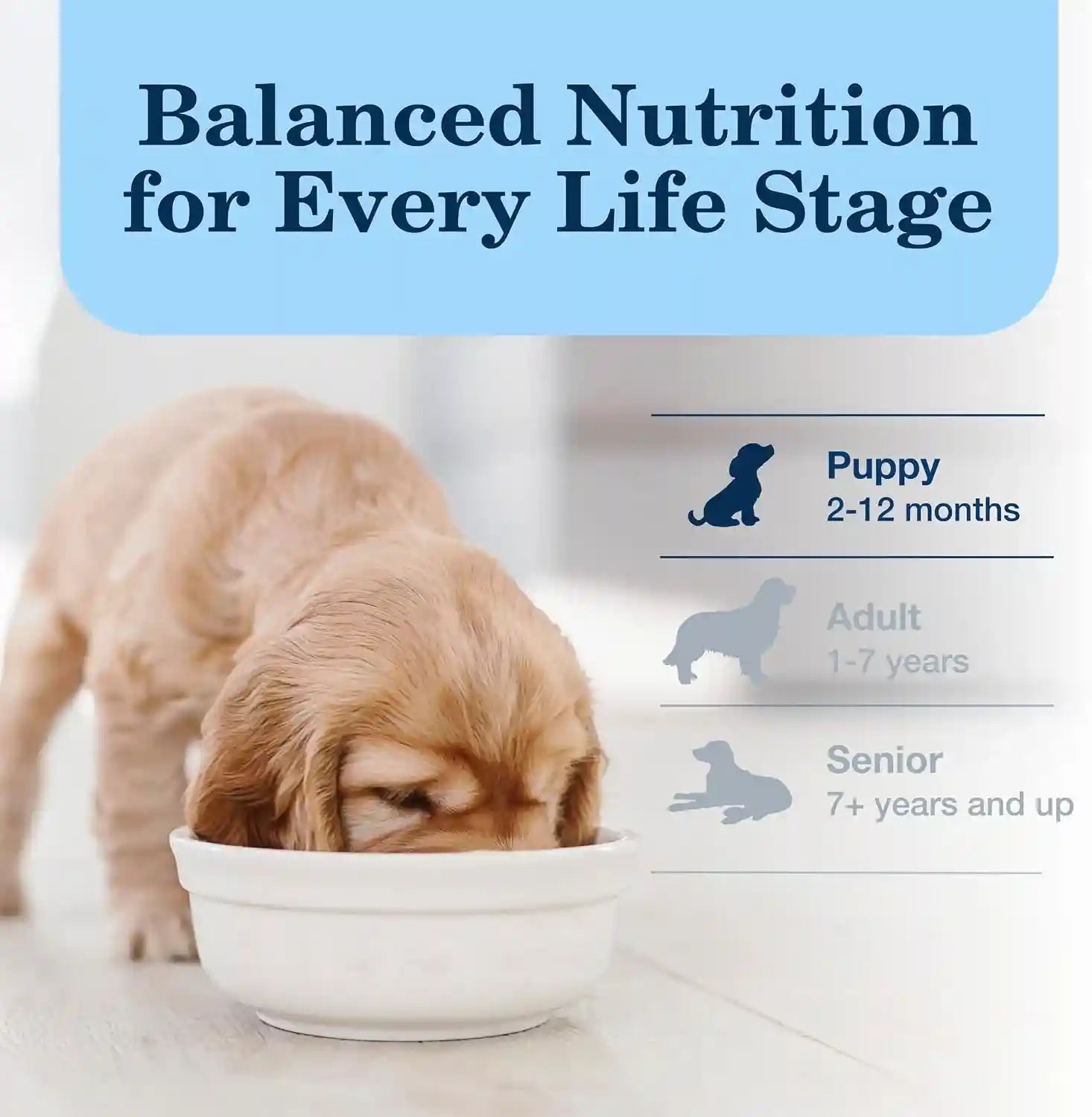 blue-buffalo-homestyle-recipe-chicken-dinner-with-garden-vegetables-pate-natural-puppy-wet-dog-food-made-with-natural-ingredients-vitamins-minerals-12-5-oz-can-12-count