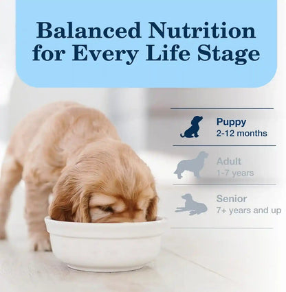 Blue Buffalo Homestyle Recipe Chicken Dinner with Garden Vegetables Paté Natural Puppy Wet Dog Food, Made with Natural Ingredients, Vitamins & Minerals, 12.5-Oz. Can (12 Count)8