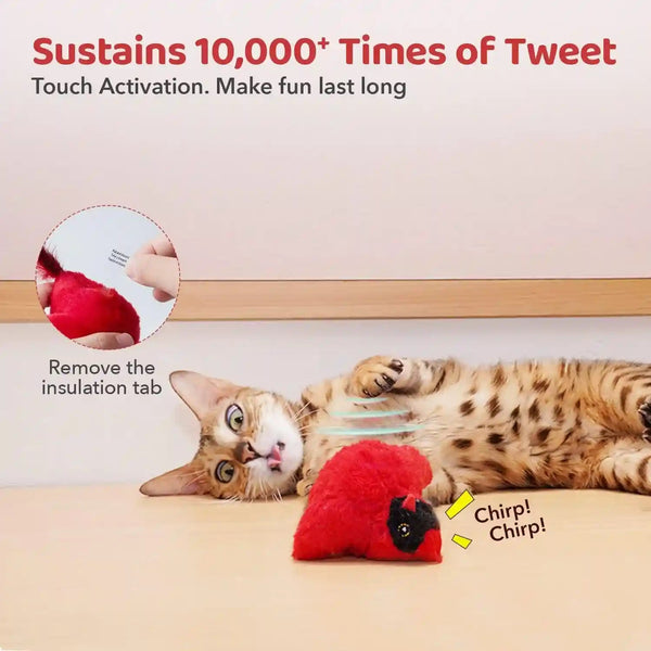 Potaroma Cat Toys Chirping Birds 2 Pcs with Catnip Silvervine, Interactive Cat Kicker, Lifelike Birdie Tweets, Indoor Kitty Kitten Exercise Toys 4.0" | Cat Kicker, Lifelike Birdie Tweets, Indoor Kitty Kitten Exercise Toys 4.0 Inches5