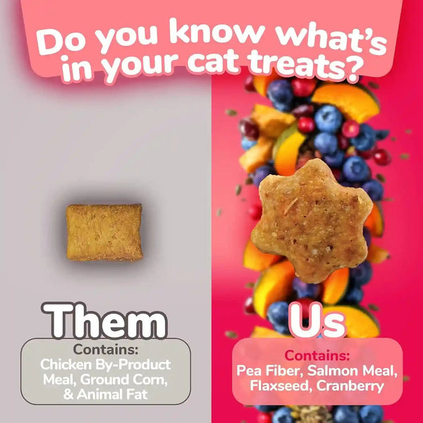 Fruitables Cat Bundle: Salmon & Cranberry + Tuna & Pumpkin - 2.5 Oz Each, Low Calorie, Real Ingredients, Superfoods3