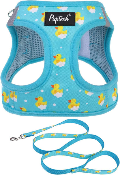 PUPTECK Dog Harness and Leash Set for Small Medium Dogs No Pull Step-In Soft Mesh Puppy Cat Vest Harnesses Reflective at Night, Green S10