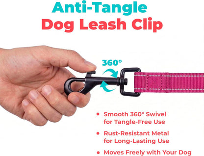 Best Pet Supplies Voyager Nylon Dog Leash - Fuchsia, Small | 5Ft in Length, 5/8" in Width, Reflective, Soft Neoprene Handle, Heavy Duty Metal Clips for Running, Walking & Training7
