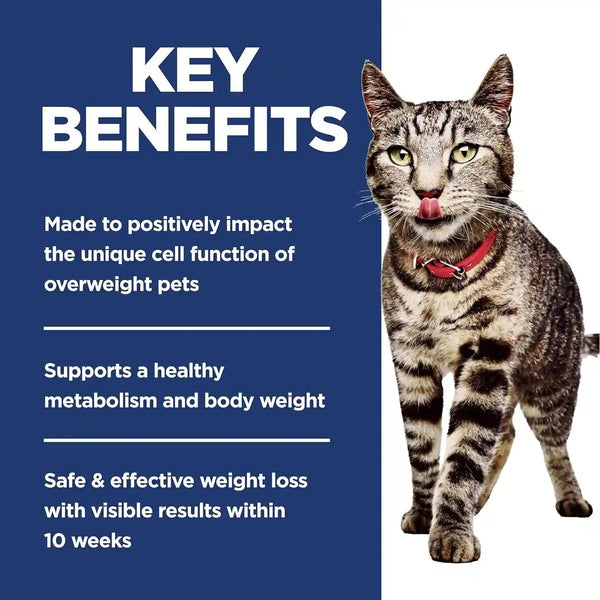 Hill'S Science Diet Adult Perfect Weight Dry Cat Food | #1 Veterinarian Recommended, Chicken Recipe, 7 Lb. Bag4