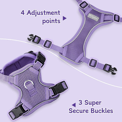 Small Dog Harness and Leash Set, Adjustable Small Sized Pet Vest | Reflective Soft Breathable Mesh, 3 Buckles, Adjustable Neck and Chest, Easy on and Comfortable Secure Walking, Purple, S3