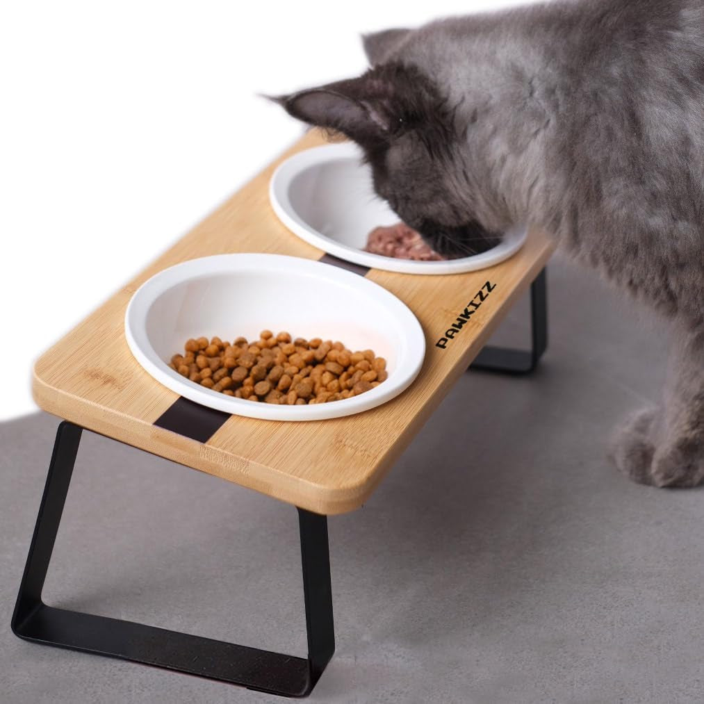 elevated-cat-bowl-stand-for-food-and-water-anti-vomit-raised-feeding-station-with-tilted-stand-removable-round-ceramic-bowls-anti-slip-bamboo-base-dishes-for-cats-kitten-small-dogs-puppies