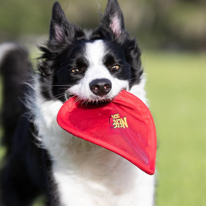 Nerf Dog Nylon Flyer Dog Toy, Flying Disc, Lightweight, Durable and Water Resistant, Great for Beach and Pool, 9 Inch Diameter, for Medium/Large Breeds, Single Unit, Red3