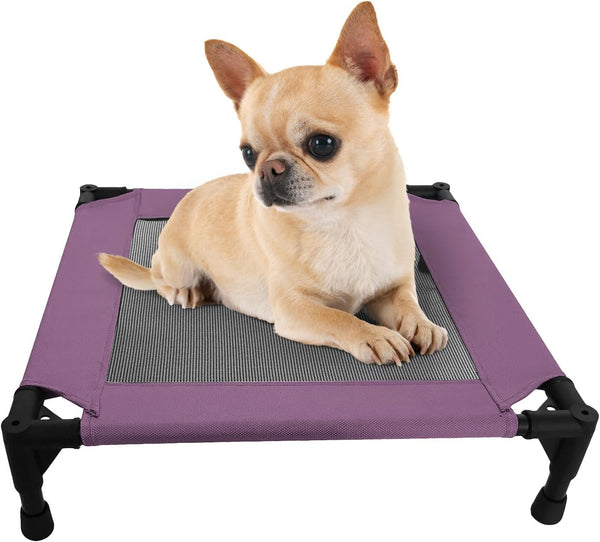 Pozico Elevated Pet Bed with Breathable Mesh for Small Cat and Dog, Raised Cooling Pet Cot for Puppy and Kitty, 18.9X18.9 Inch (Black Bed)7