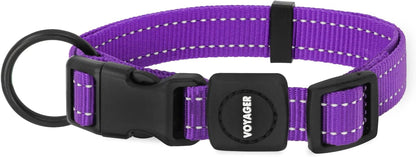 Best Pet Supplies Voyager Reflective Dog Leash or Collar with Neoprene Handle, for Small, Medium, and Large Breed Puppies, Cute and Heavy Duty for Walking, Running and Training - Royal Blue, S15