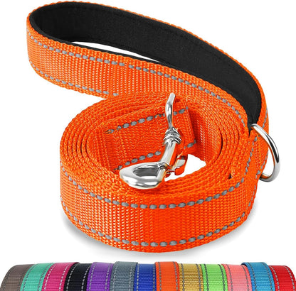 Joytale Reflective Dog Leash for Medium & Large Dogs, 6 FT X 1", Black | Heavy Duty Nylon Webbing, Padded Handle for Comfort, Visible at Night, for Walking & Training9