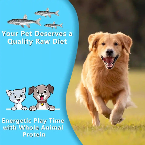 Minnows Dog Treats, Single Ingredient Dried Minnows for Dogs & Cats, Air Dried, Grain-Free, High-Protein, 100% Natural Premium Cat & Dog Treats 4.5 Oz4