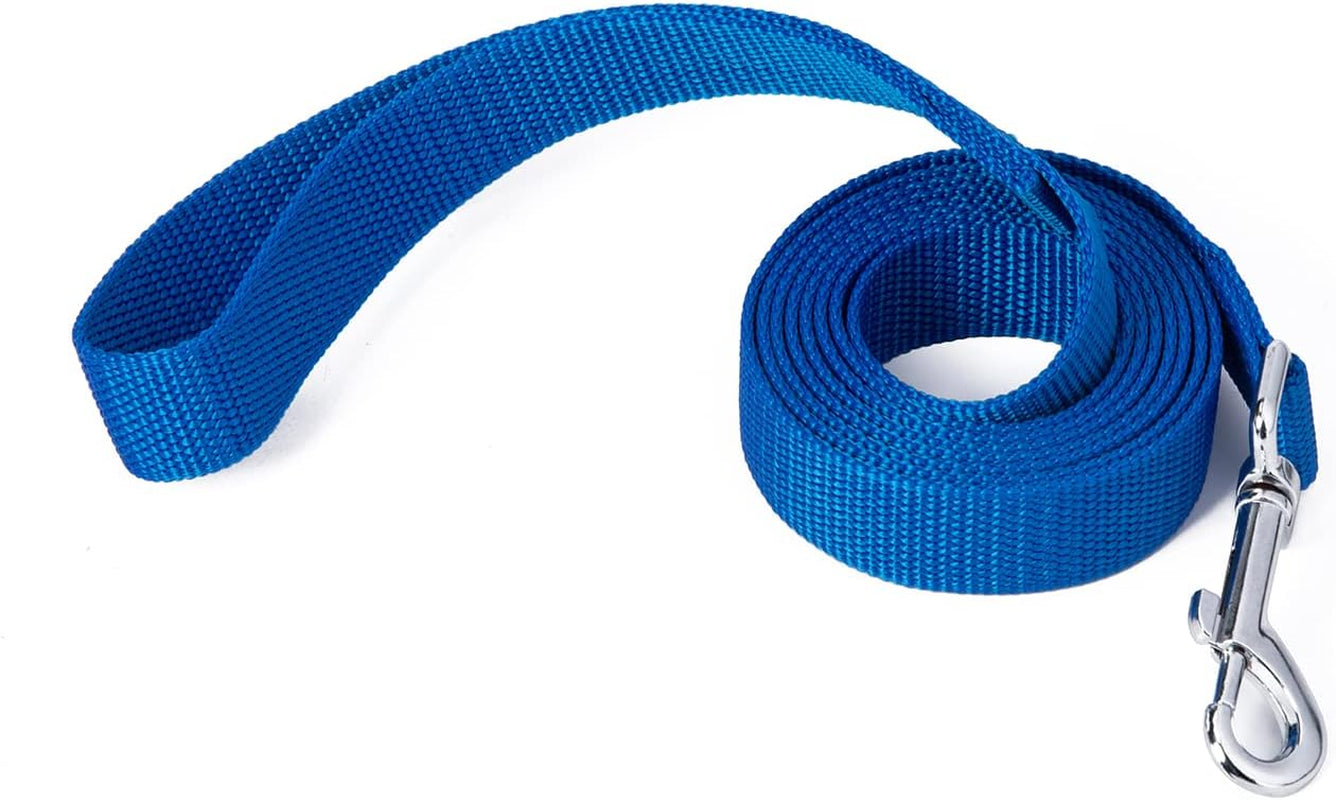 strong-durable-nylon-10ft-long-dog-training-leash-traction-rope-1-inch-wide-for-small-and-medium-dog-black-10-feet