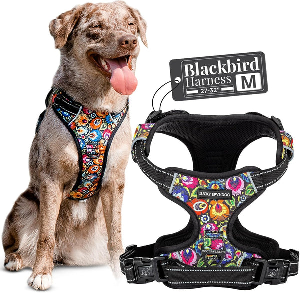 Lucky Love Dog No Pull Dog Harness, Adjustable and Easy to Walk, Cute Patterned Harness for Medium Male & Female Dogs - Blackbird, Medium1