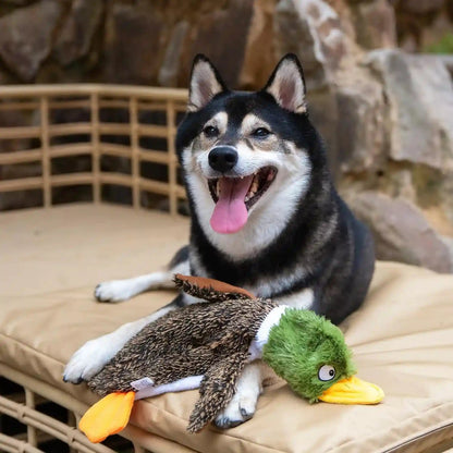 Best Pet Supplies Squeaky Dog Toys with Soft Durable Fabric for Small, Medium and Large Pets Interactive Toy for Indoor Play, Supports Active Biting and Play - 1Wild Duck, Small6