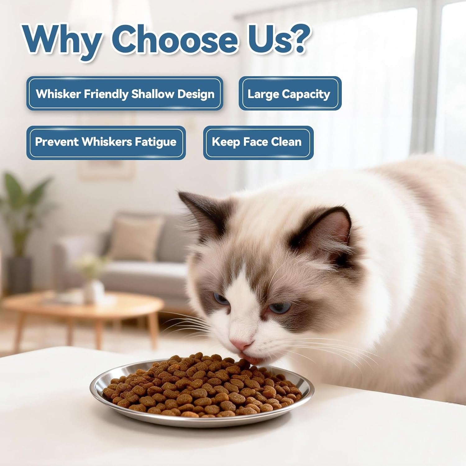 8-pack-stainless-steel-cat-food-bowls-cat-dishes-shallow-whisker-friendly-metal-dishes-with-non-slip-silicone-bottom-easy-to-clean-indoor-feeding-bowls-for-cats-kittens-small-dogs-6-7