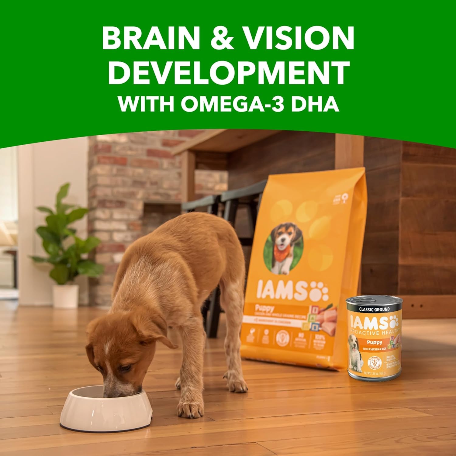 iams-proactive-health-puppy-wet-dog-food-chicken-13-oz-12-pack-real-chicken-omega-3-dha-for-brain-vision-omega-6-for-skin-coat-no-fillers-or-artificial-flavors-puppies-1-12-months