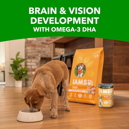 IAMS Proactive Health Puppy Wet Dog Food, Chicken, 13 Oz, 12 Pack | Real Chicken, Omega-3 DHA for Brain & Vision, Omega-6 for Skin & Coat, No Fillers or Artificial Flavors, Puppies 1-12 Months10