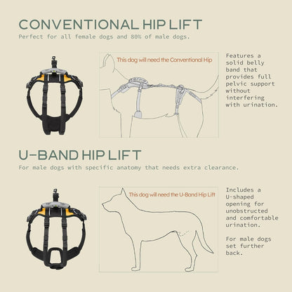 Help 'Em Up® - Dog Lift Harness│ Adjustable Lifting Harness for Dogs │ Full Body Support, Rear Leg Support (Conventional, Medium, 45-80 Lbs)2