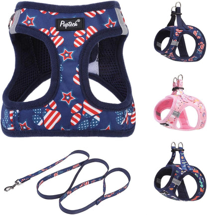 PUPTECK Dog Harness and Leash Set for Small Medium Dogs No Pull Step-In Soft Mesh Puppy Cat Vest Harnesses Reflective at Night, Green S12