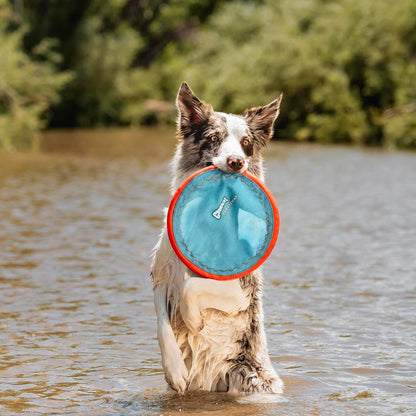 Chuckit! Paraflight Flying Disc Dog Toy - Water Floating Flyer - Durable Nylon Construction with Soft Rubber Edges - for Medium and Large Dogs - Size Large - 9.75" L X 9.75" W - Pack of 1 | Durable Nylon Build with Soft Rubber Edges, Made for Medium and Larger Sized Breeds, Lightweight and Easy to Throw, Pack of 12
