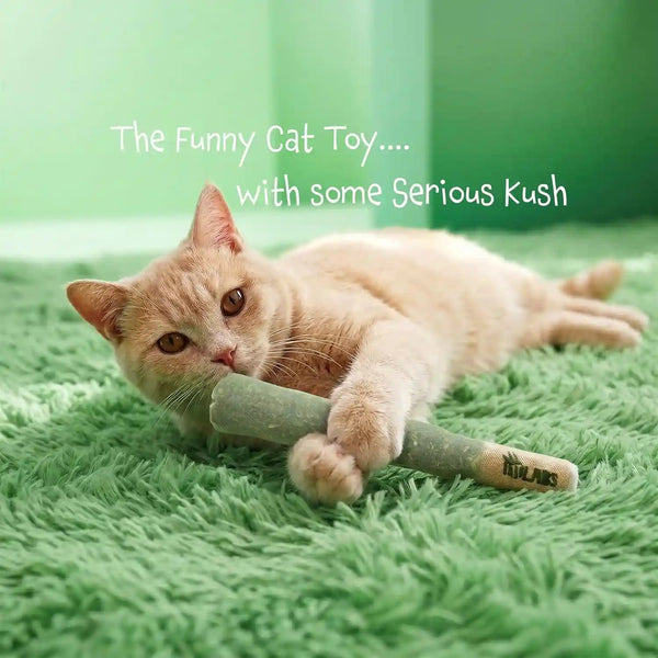 LIT LABS Cat Doobie 3 Pack Catnip Toys for Cats, Funny Cat Toys, Safe Kitten Teething Chew and Kicker Toys, Stress-Relieving Indoor Cat Gifts That Hit Different4