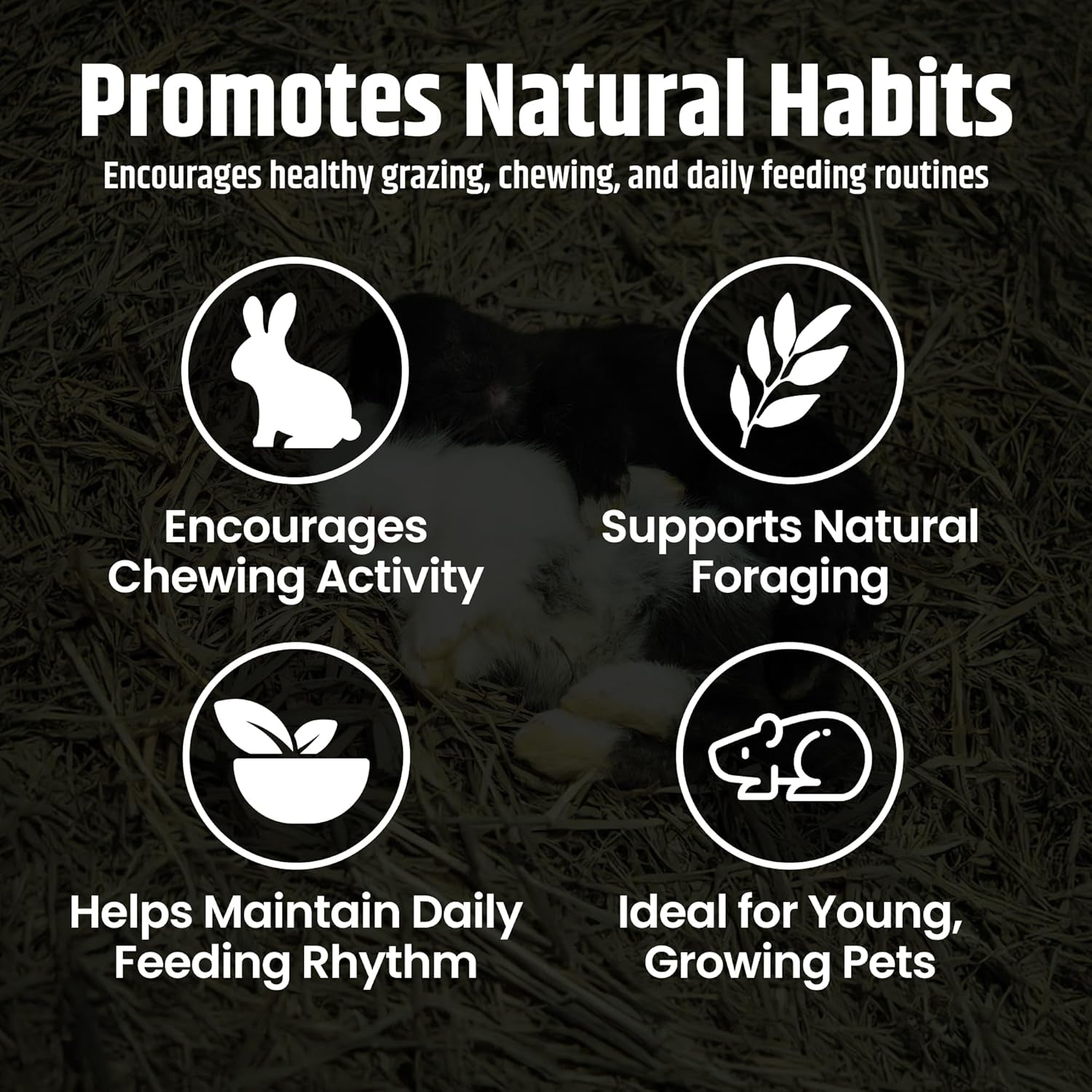 high-desert-alfalfa-hay-protein-rich-soft-leaf-food-for-young-growing-animals-natural-rabbit-food-and-guinea-pig-hay-supports-digestive-health-small-pet-supplies-fresh-hand-packed-5-lb-box-protein-rich-soft-leaf-forage-ideal-for-growing-kits-and-nursing-mothers-great-calcium-source-hand-packed-low-dust