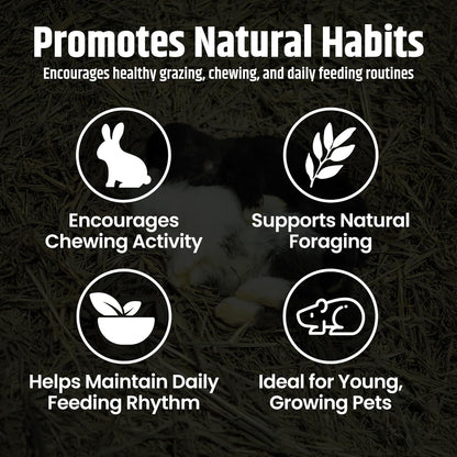 High Desert Alfalfa Hay, Protein Rich Soft Leaf Food for Young Growing Animals, Natural Rabbit Food and Guinea Pig Hay, Supports Digestive Health, Small Pet Supplies, Fresh Hand Packed 5 Lb Box | Protein Rich Soft Leaf Forage, Ideal for Growing Kits and Nursing Mothers, Great Calcium Source, Hand Packed, Low Dust3