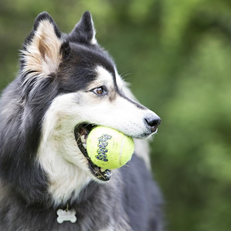 kong-squeakair-dog-toy-tennis-ball-medium-x-9