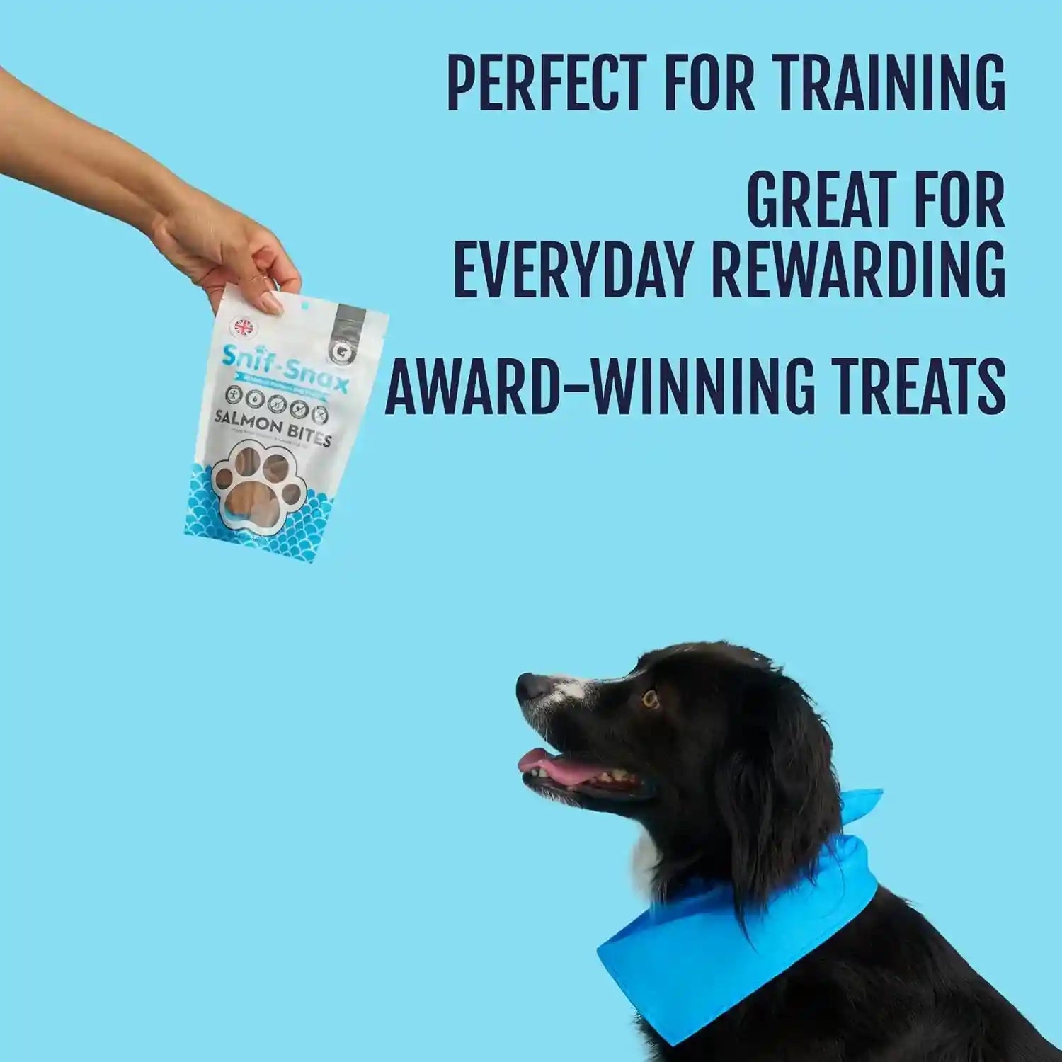 snif-snax-salmon-bites-dog-treats-3-pack-all-natural-human-grade-training-treats-for-dogs-healthy-grain-free-puppy-adult-rewards-protein-rich-soft-salmon-snacks