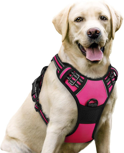 Rabbitgoo Dog Harness, No Pull for Large Dogs with 2 Leash Clips, Pet Vest | No Choke with Handle, Adjustable Soft Padded, Reflective, Easy Control for Walking, Black, Large116