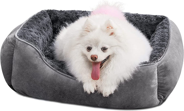 JOEJOY Rectangle Dog Bed for Large Medium Small Dogs - Washable Orthopedic Sofa Bed, Soft Breathable Puppy & Pet Cuddler, Durable Calming Dog Bed with Anti-Slip Bottom, Multiple Sizes, Beige35