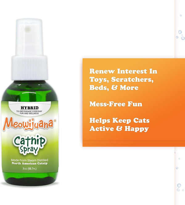 Meowijuana Premium Catnip Spray for Cats, 3 Oz | High Potency | Organic Catnip Oil Spray for Cats, 3 Oz; Redirects Scratching, Revives Toys; Made in USA, Safe for Multi-Cat Homes4