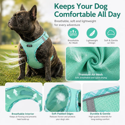 AMTOR Small Dog Harness with Leash Set, No Escape Easy Walk Puppy Harnesses for Training Walking, Step-In Reflective Soft Dogs Vest for XS S Medium Extra-Small Large Sized Dog(Green,S)2