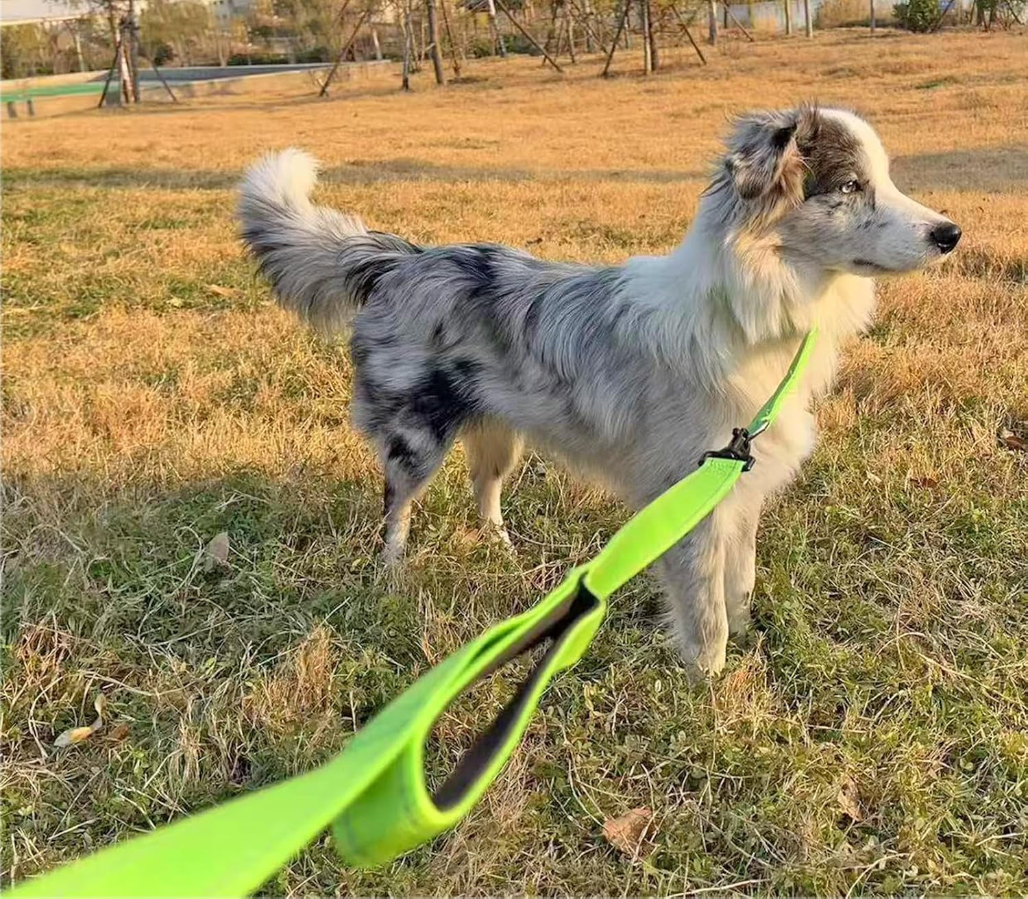 3-handle-dog-leash-10ft-triple-handle-reflective-large-medium-dog-multi-handles-heavy-duty-training-lead-with-padded-traffic-handles-for-control-and-safety