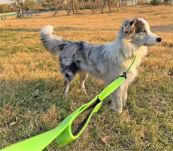 3 Handle Dog Leash 10FT Triple Handle Reflective Large Medium Dog | Multi Handles Heavy Duty Training Lead with Padded Traffic Handles for Control and Safety8