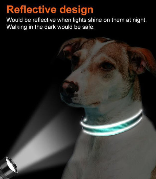 Joytale Reflective Dog Collar, Adjustable Neoprene Padded, Teal L | Breathable Nylon for Large Dogs, No Chafing on Walks and Outdoor Hikes, Tear-Resistant Webbing, Metal D-Ring, Night Safety5