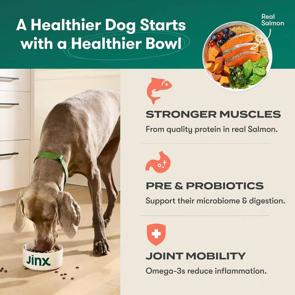 Jinx Dry Dog Food - Real Salmon, Brown Rice & Sweet Potato, 4Lb | Premium Kibble for Digestive Support & Healthy Immunity - No Fillers, All Lifestages (Puppy, Adult & Senior), Breeds & Sizes3