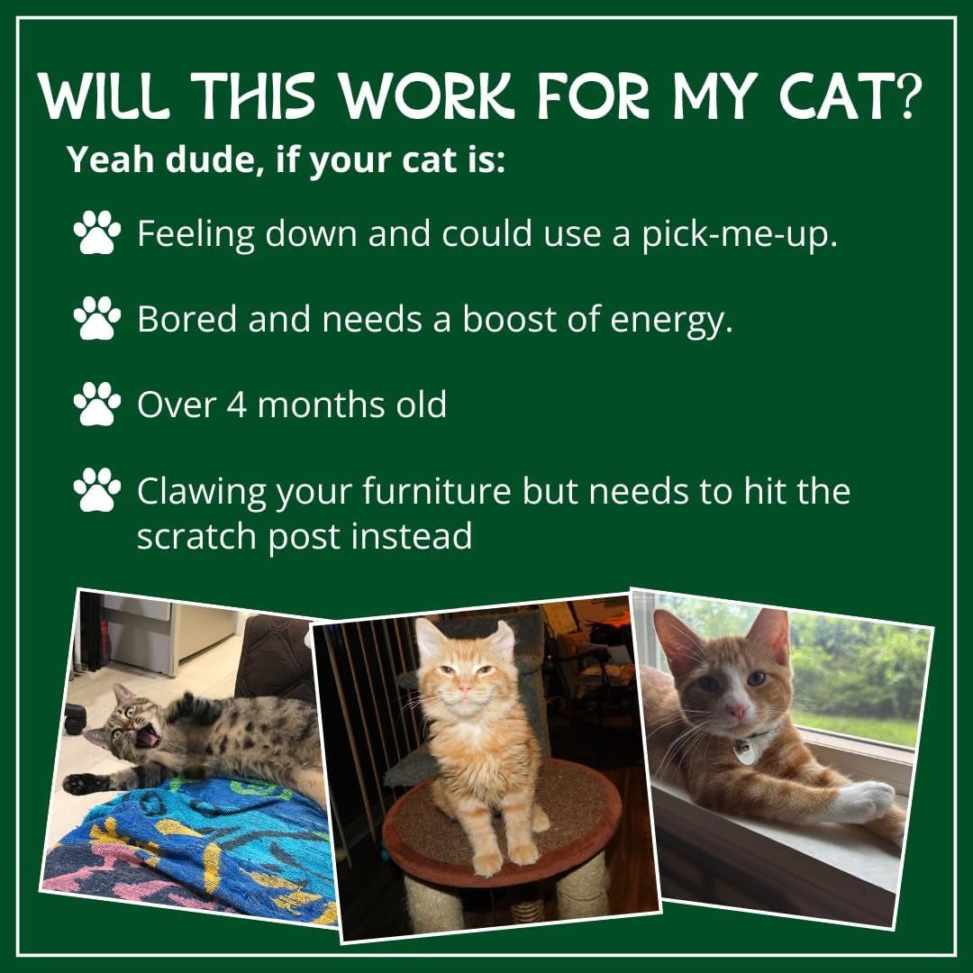 organic-catnip-safe-premium-blend-perfect-for-cats-instilled-with-maximized-potency-your-kitty-is-sure-to-go-crazy-for-1-cup-instilled-with-maximized-potency-your-kitty-is-guaranteed-to-go-crazy-for-1-cup