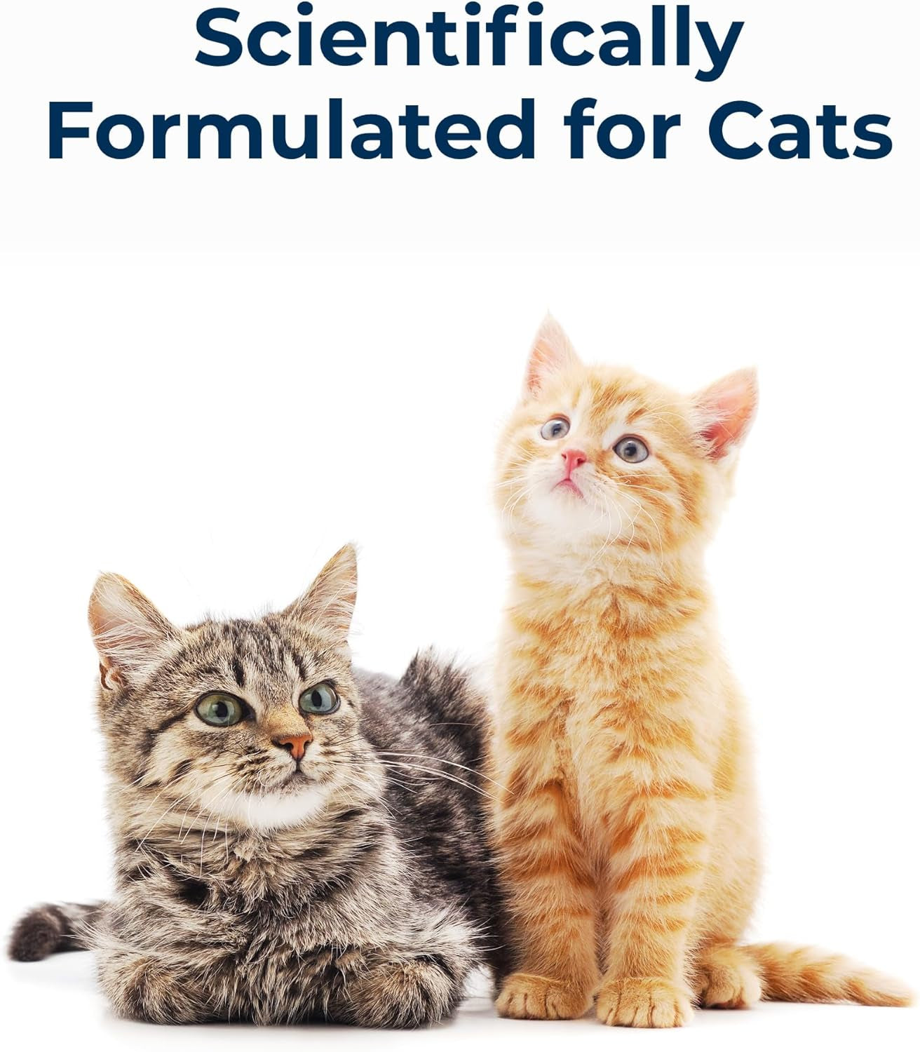 pet-ag-cat-sip-real-milk-8-oz-4-pack-ready-to-feed-snack-for-cats-kittens-easy-to-digest-with-99-lactose-free-low-fat-grade-a-milk-encourages-hydration